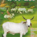 Gau ka gaurav