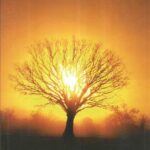 Na Phool Chadhe Na Deep Jale