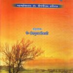 Tantrik Vangmay Me Shakt Drishti