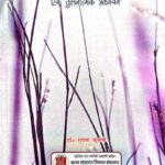 Navmanavwad Evam Sampoorna Kranti Ek Tulnatmak Adhyan