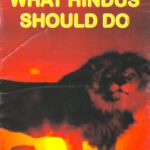 What Hindus Should Do