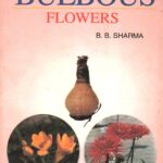 BEAUTIFUL BULBOUS FLOWERS (POP) (2002)
