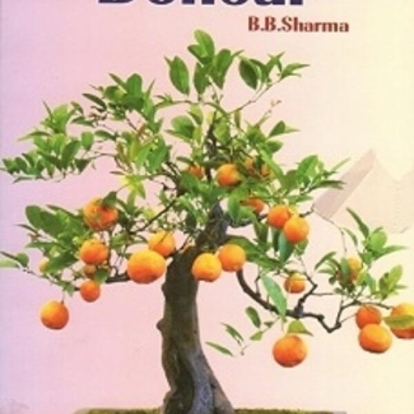 Bonsai