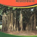 Dharma Sampraday Sampradayikata