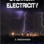 EVERYDAY ELECTRICITY (POP) (ENGLISH) (2024)