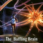 THE BAFFLING BRAIN (POP) (2014)