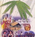 THE NORTH EAST SAGA (DEL) (ENGLISH) (2022) ORBULK