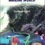 The Wonderful Marine World